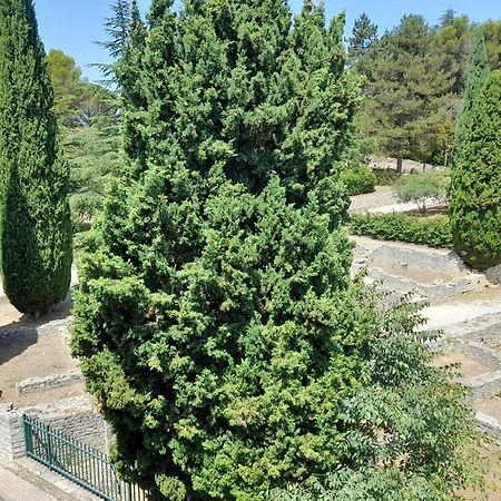 Grande Terrasse Et Vue Sur Le Site Antique Apartman Vaison-la-Romaine Kültér fotó