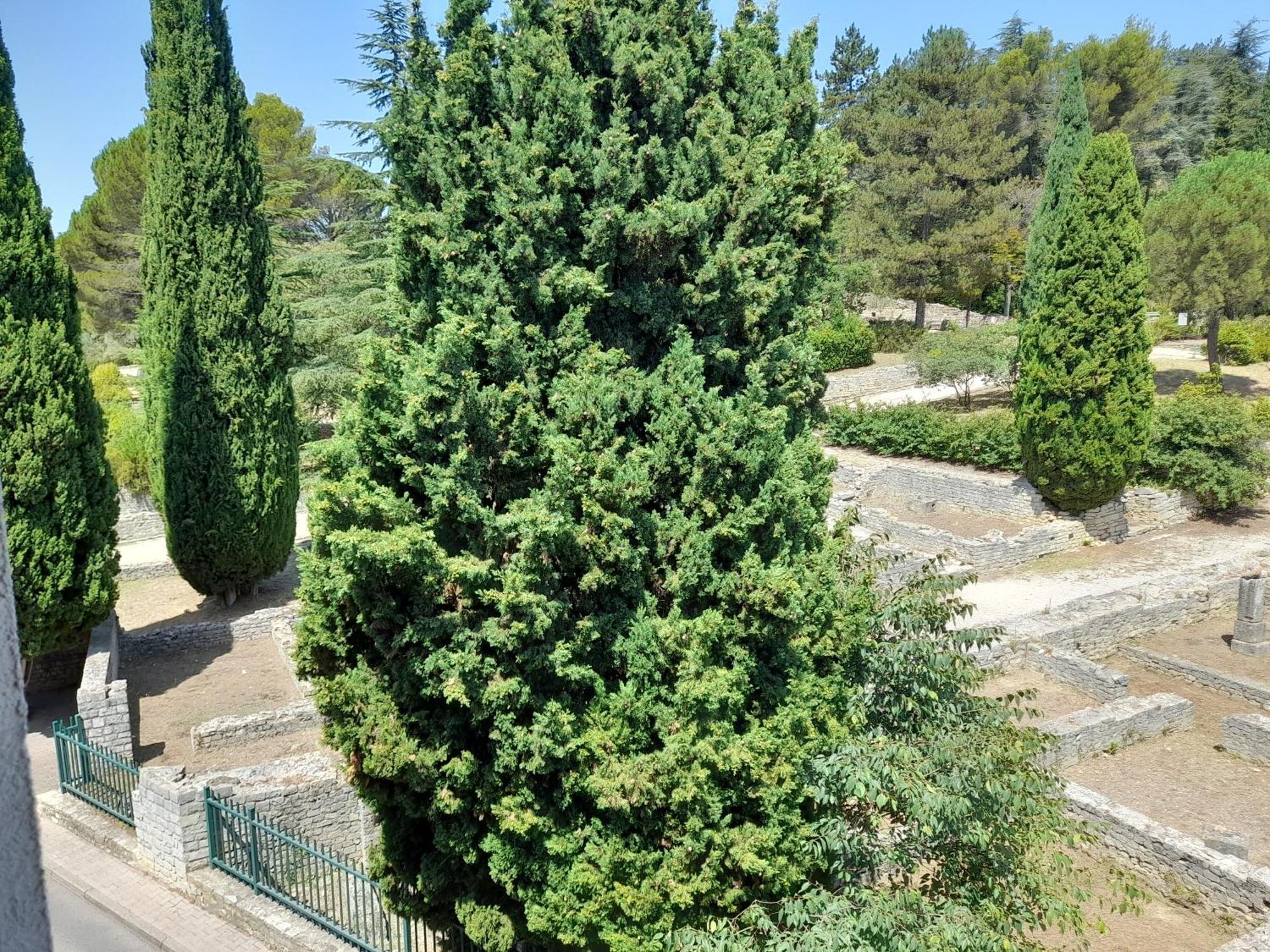 Grande Terrasse Et Vue Sur Le Site Antique Apartman Vaison-la-Romaine Kültér fotó